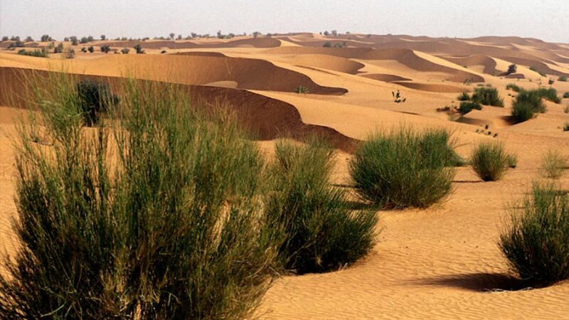 Le desert de Lompoul