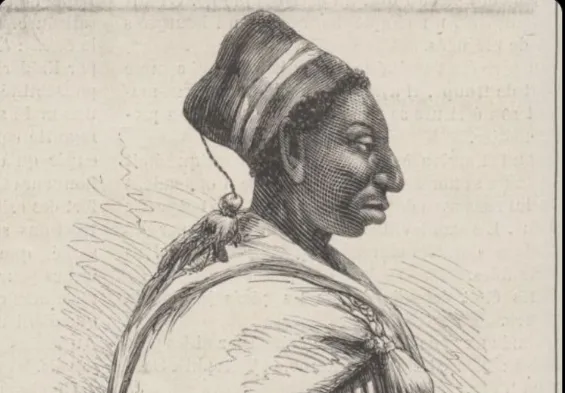 lat dior diop