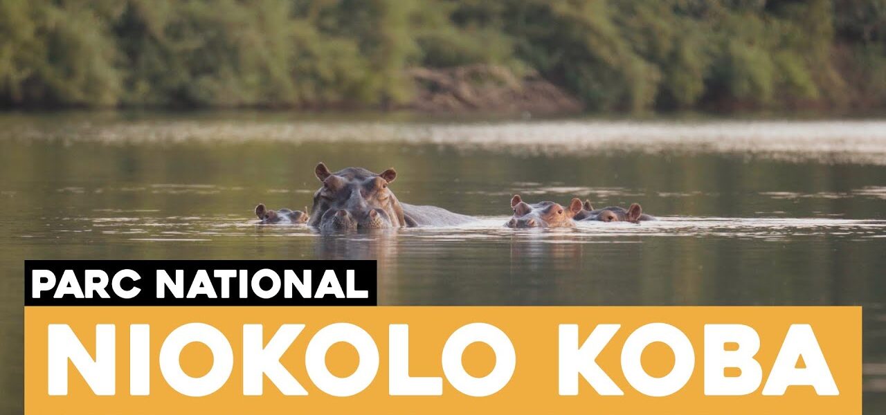 niokolo