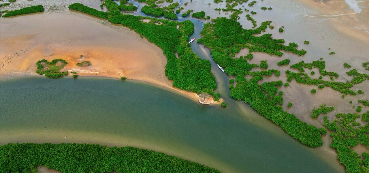 1280px Delta du Sine Saloum Patrimoine Mondial de L27Unesco 05