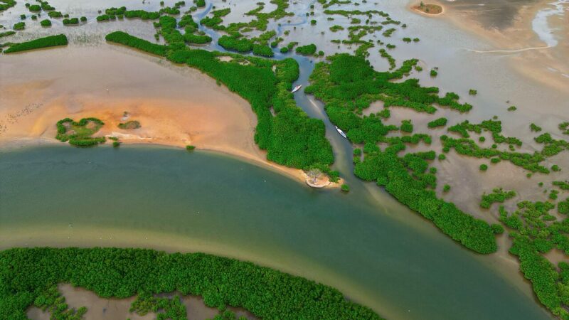 1280px Delta du Sine Saloum Patrimoine Mondial de L27Unesco 05
