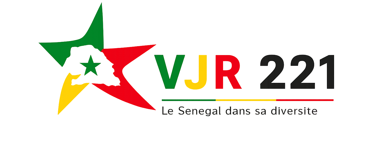 Logo vjr 221
