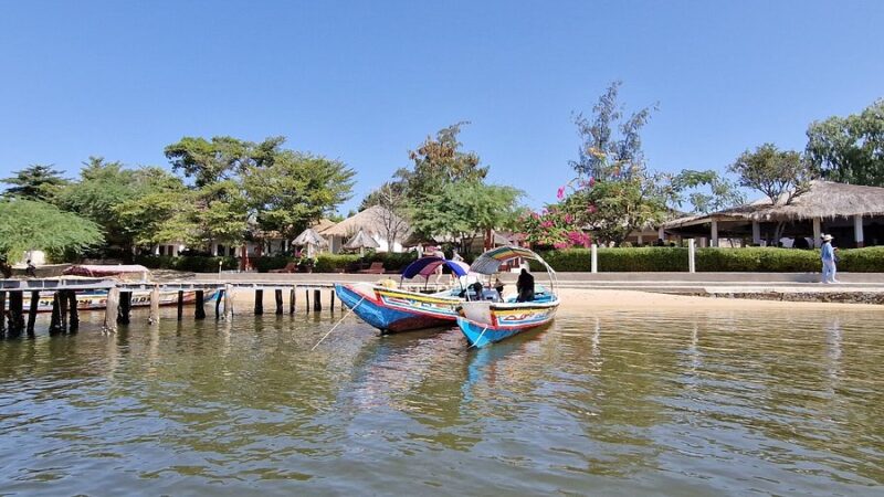 delta saloum