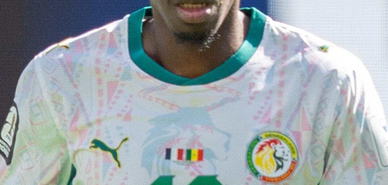 Ismaila Sarr France v Senegal 16 June 2026 425 28cropped29
