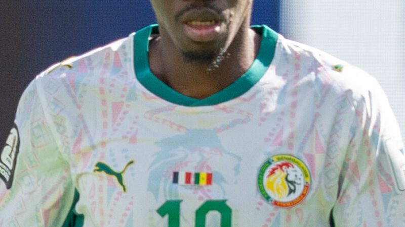 Ismaila Sarr France v Senegal 16 June 2026 425 28cropped29