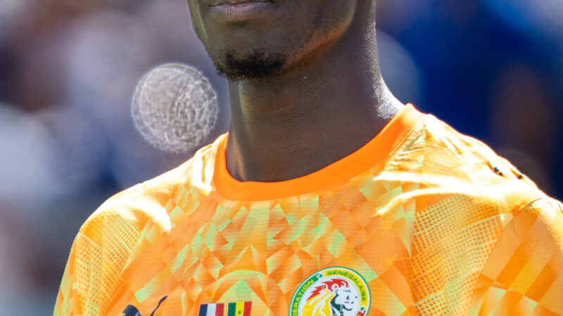 Édouard Mendy – Gardien de but international sénégalais